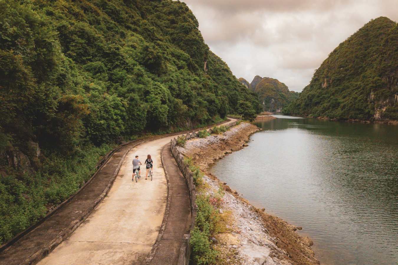 Cycling Halong Ginger 