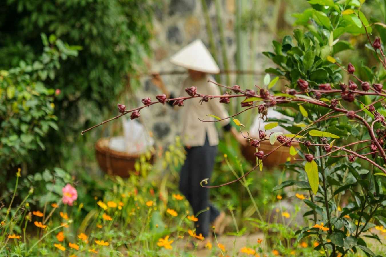 Gardens - Tam Coc Gardens