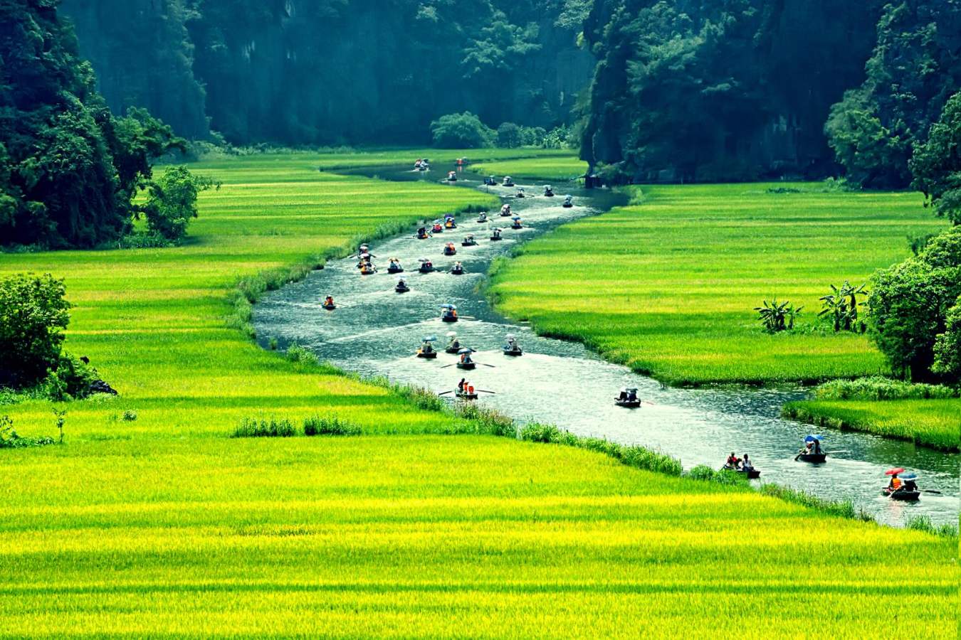 Ninh Bin