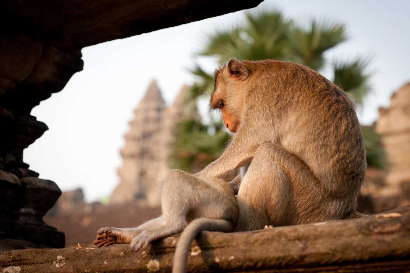 Siem Reap - Treasures of Indochina