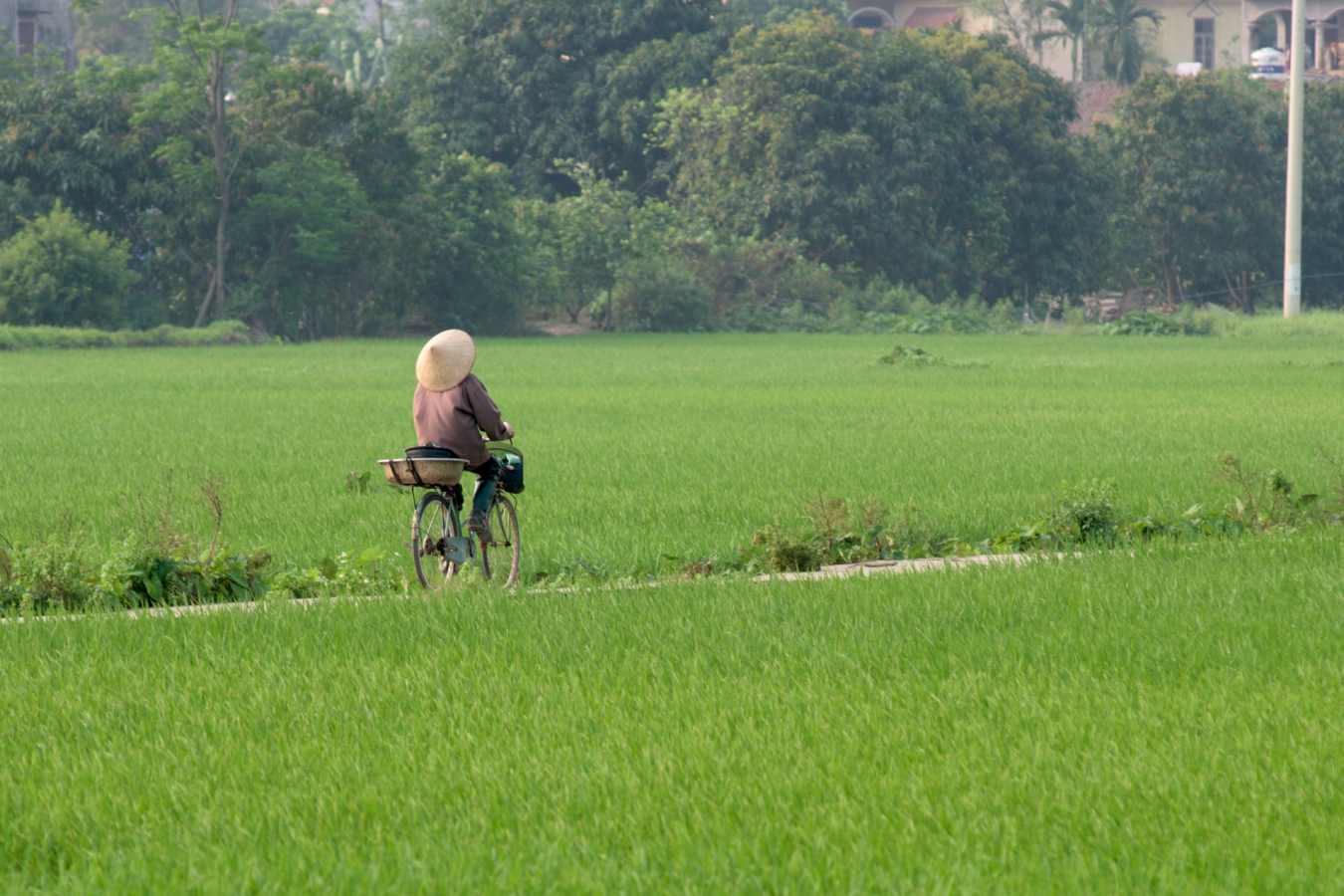 Hanoi Countryside