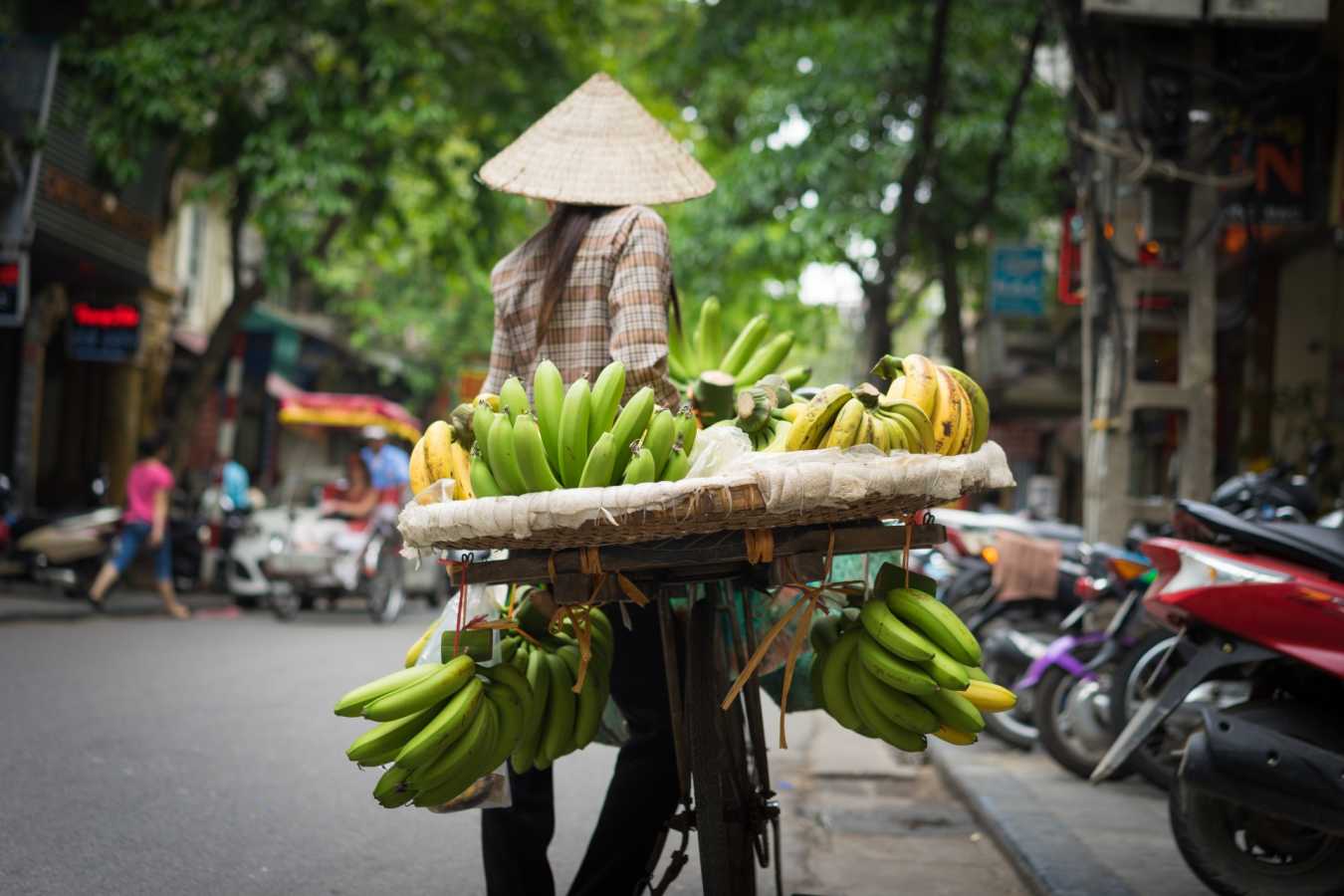 Hanoi Fruit Seller