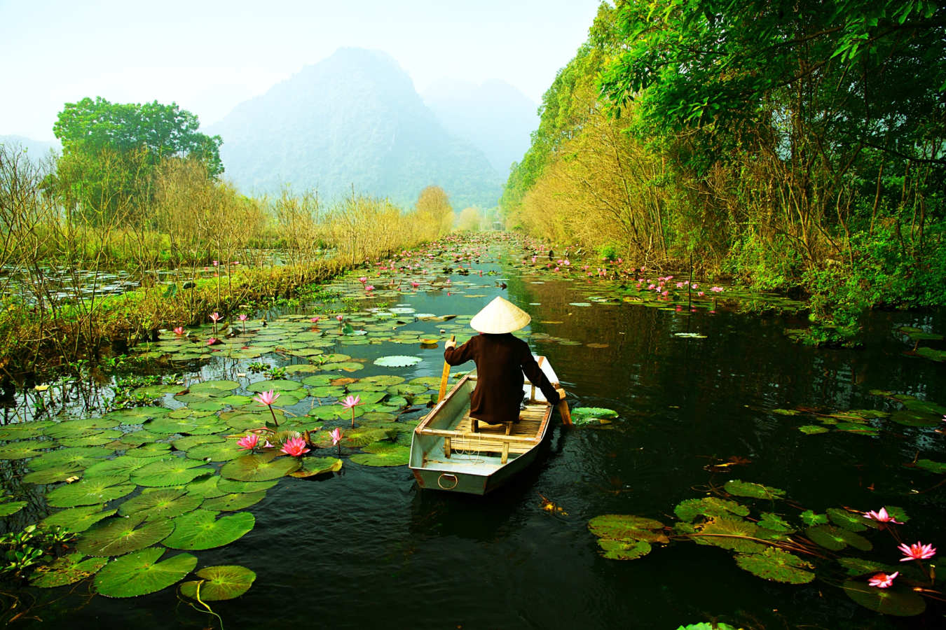 Man on a small boat in a lake in Ninh Binh