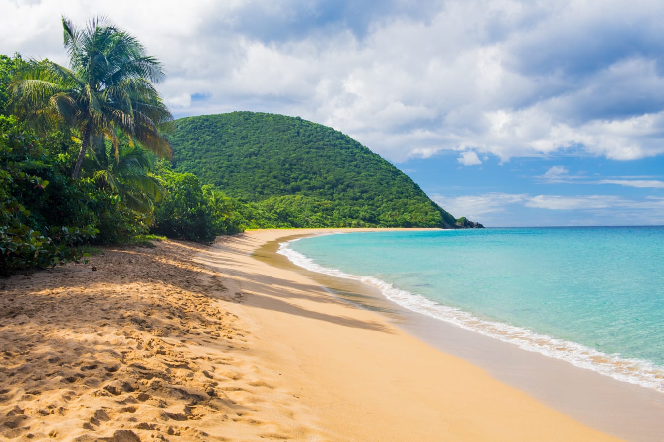 Guadelope 