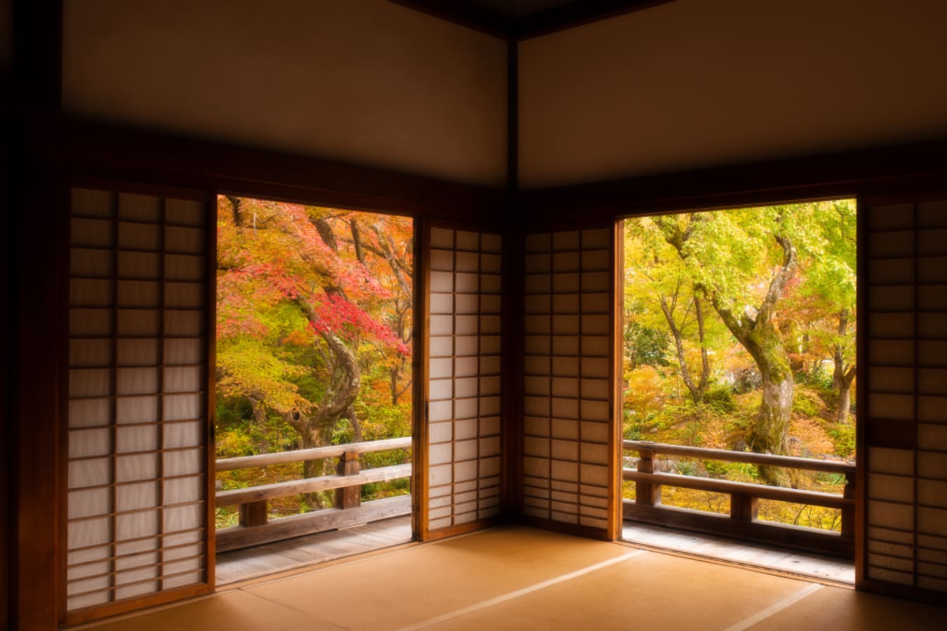 Autum Forest Through Doors 