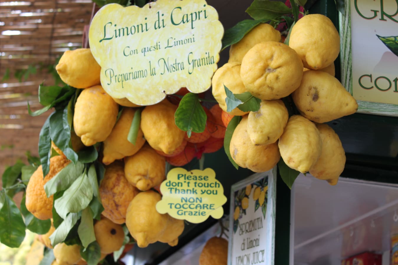 Capri Lemons 