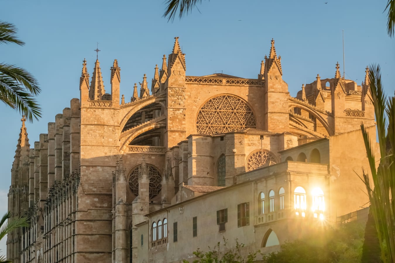 Palma 