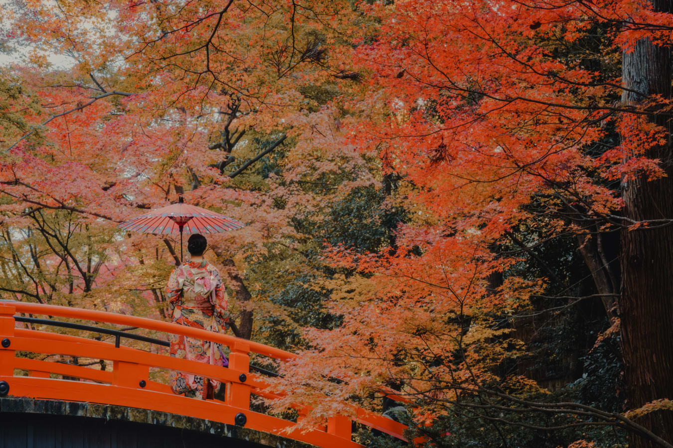 Geisha on Bridge 