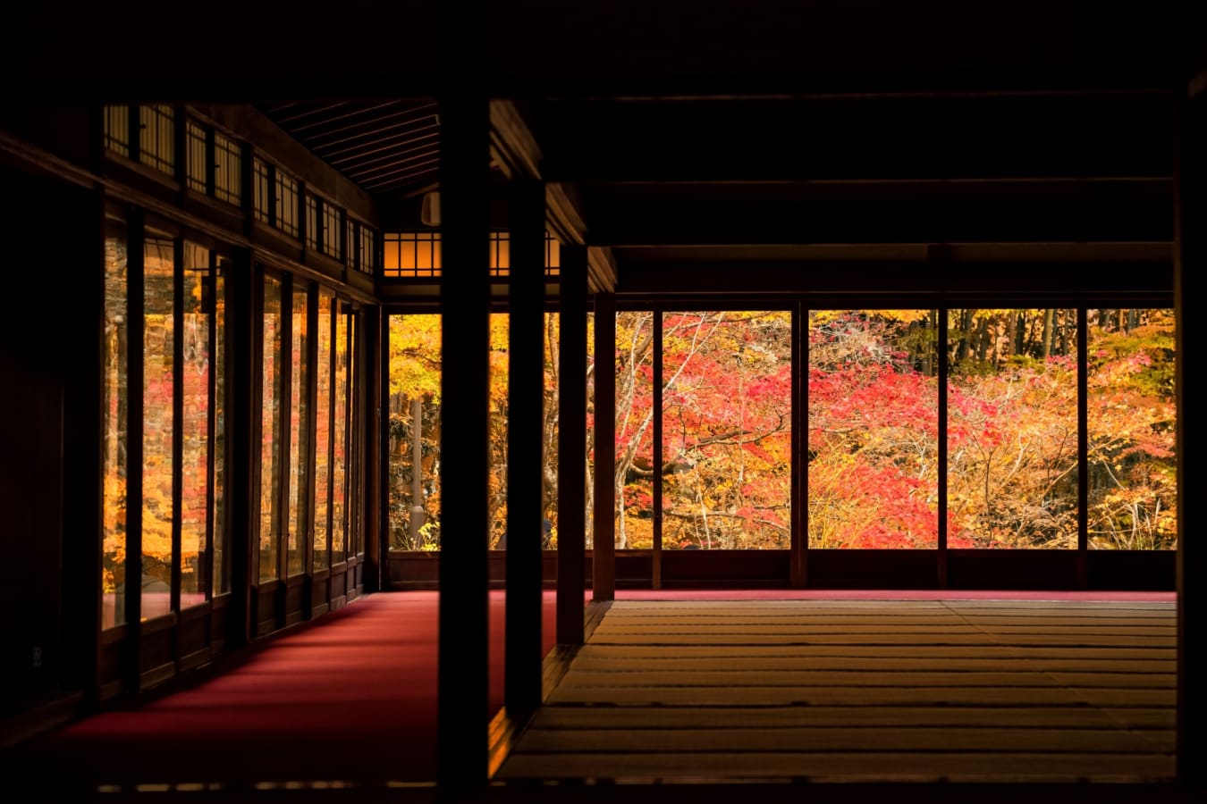Autumn Foliage Through Window  