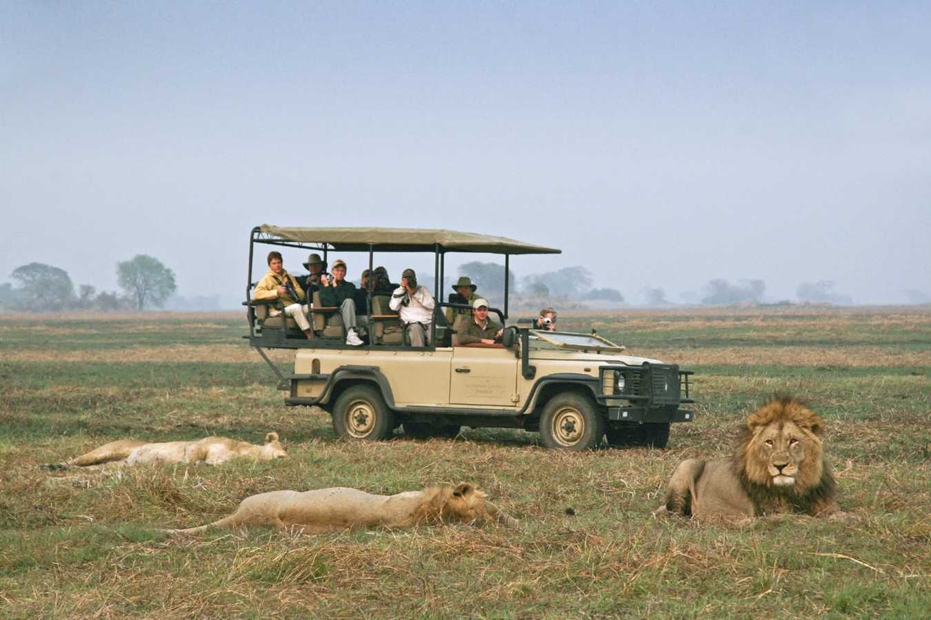 Game Drive - Busanga Bush Camp