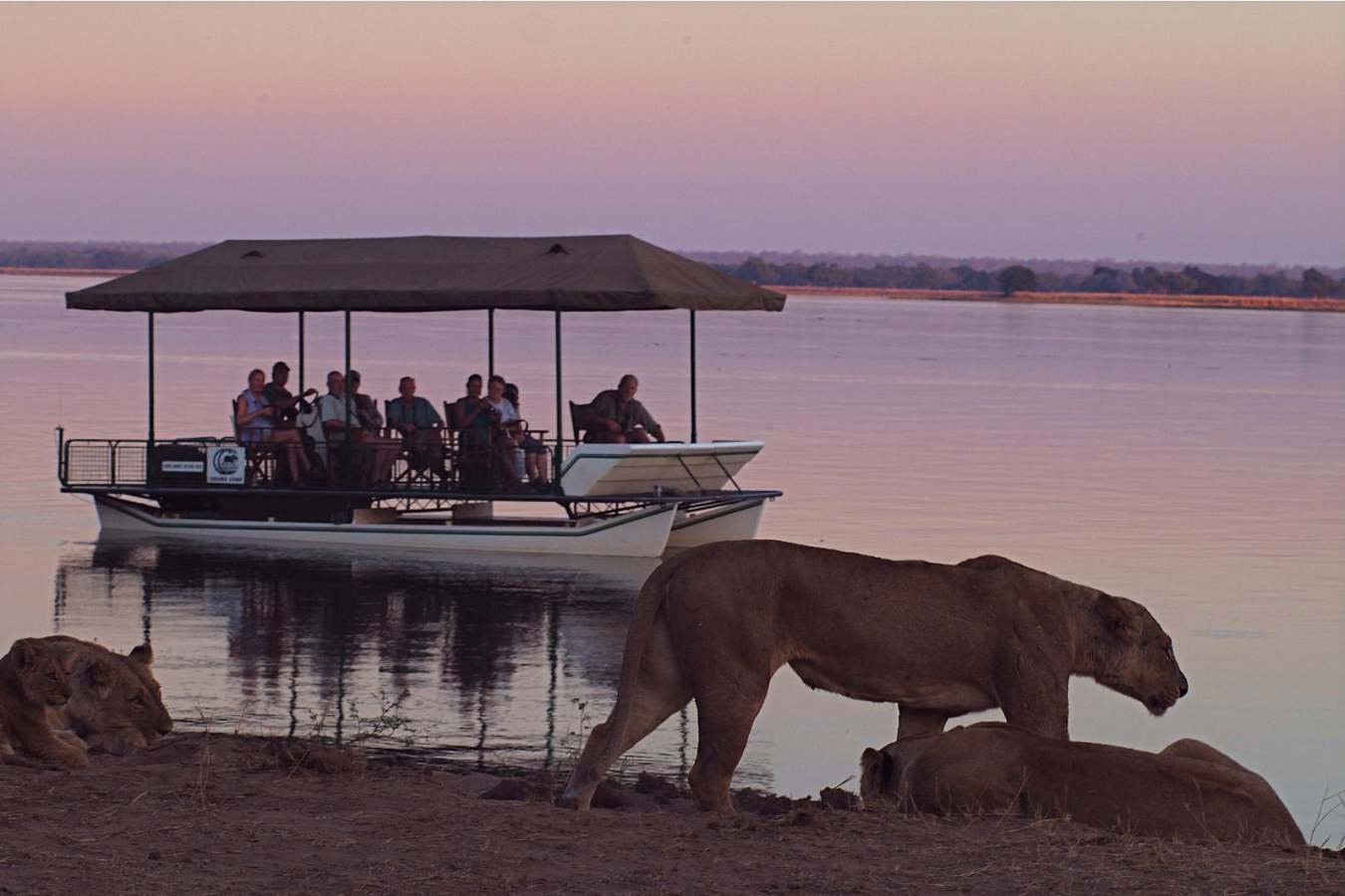 Boat Safari - Chiawa Camp