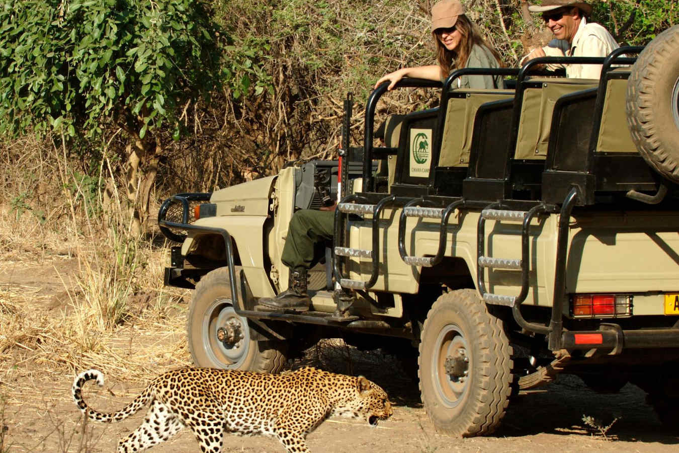 Game Drive - Chiawa Camp