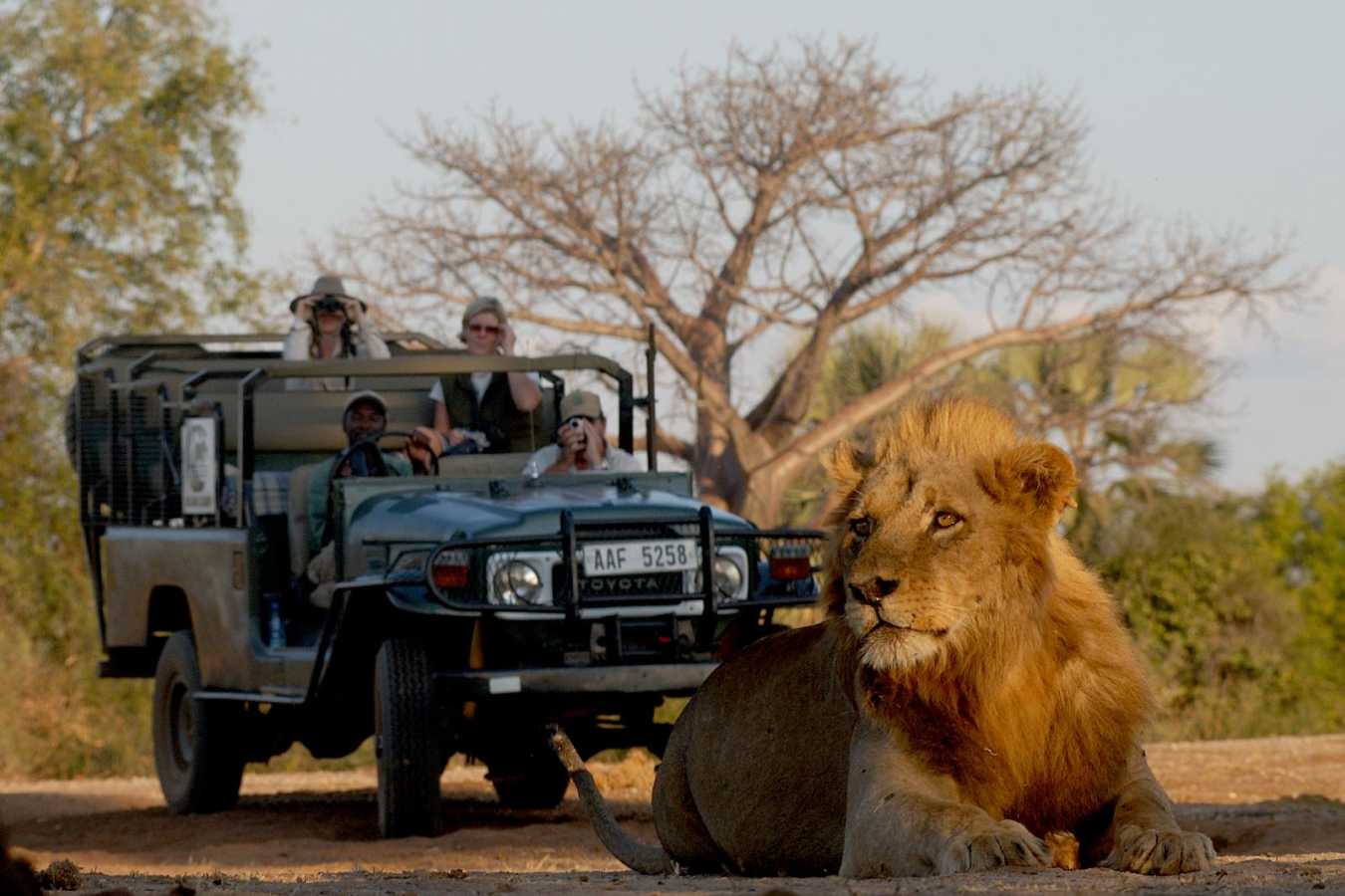 Game Drive - Chiawa Camp