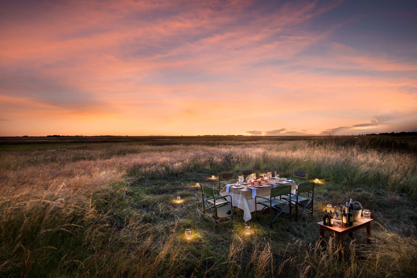 Bush dinner