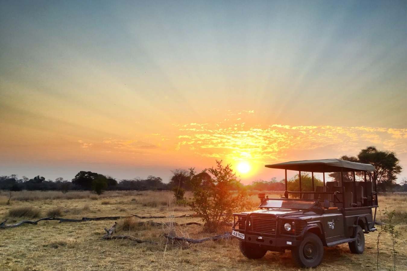 Jeffery and McKeith Safaris