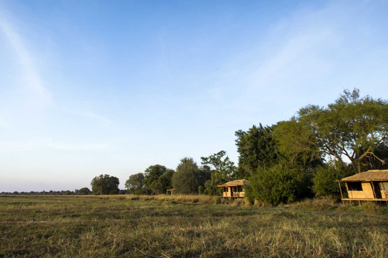 Jeffery and McKeith Safaris