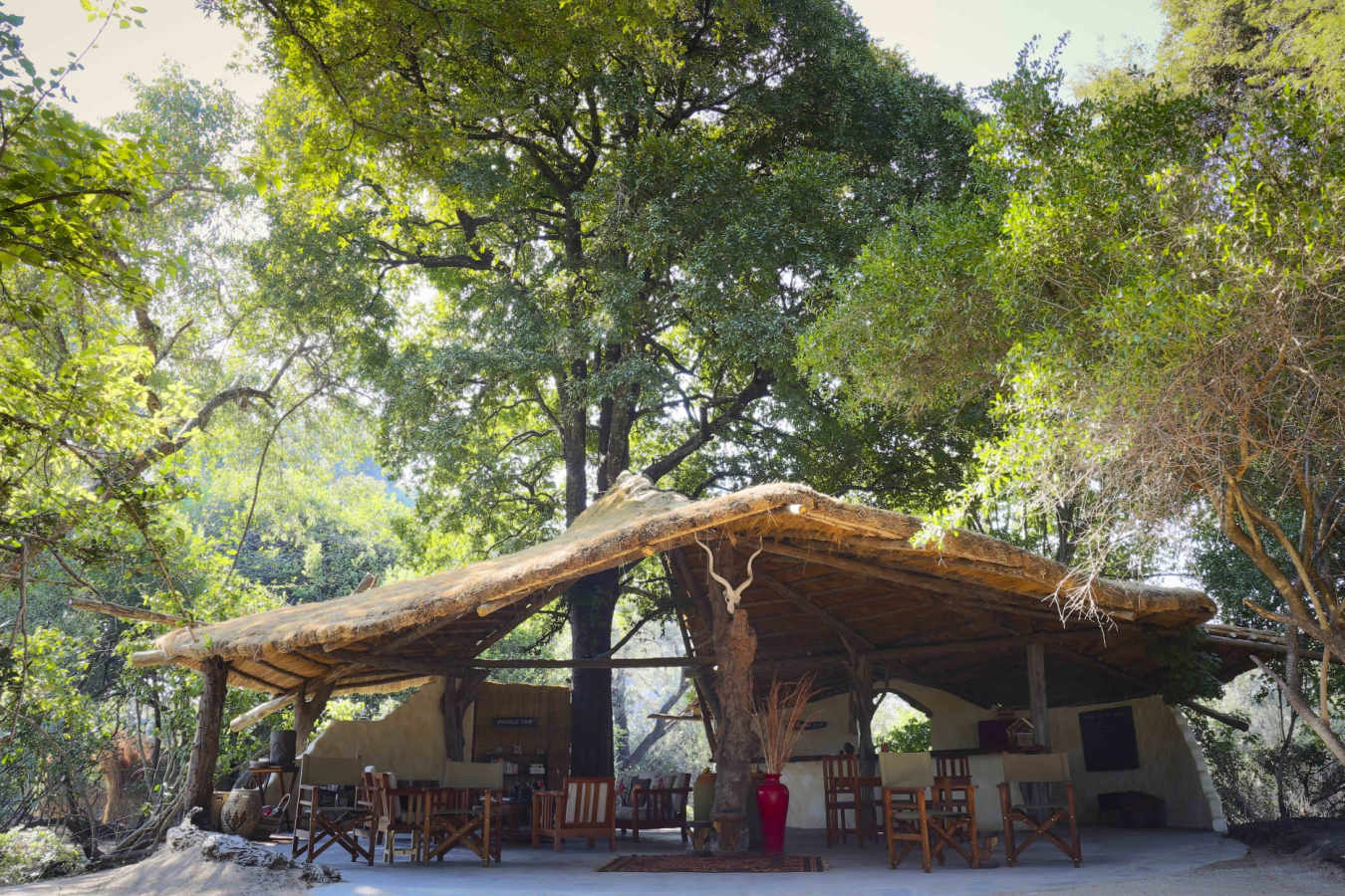 Jeffery and McKeith Safaris