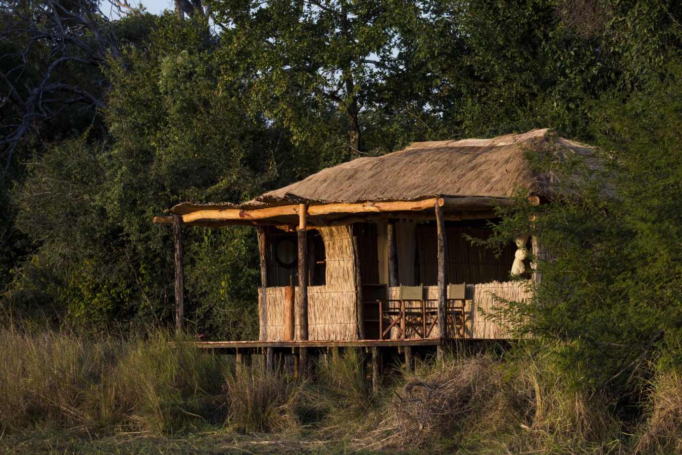 Jeffery and McKeith Safaris