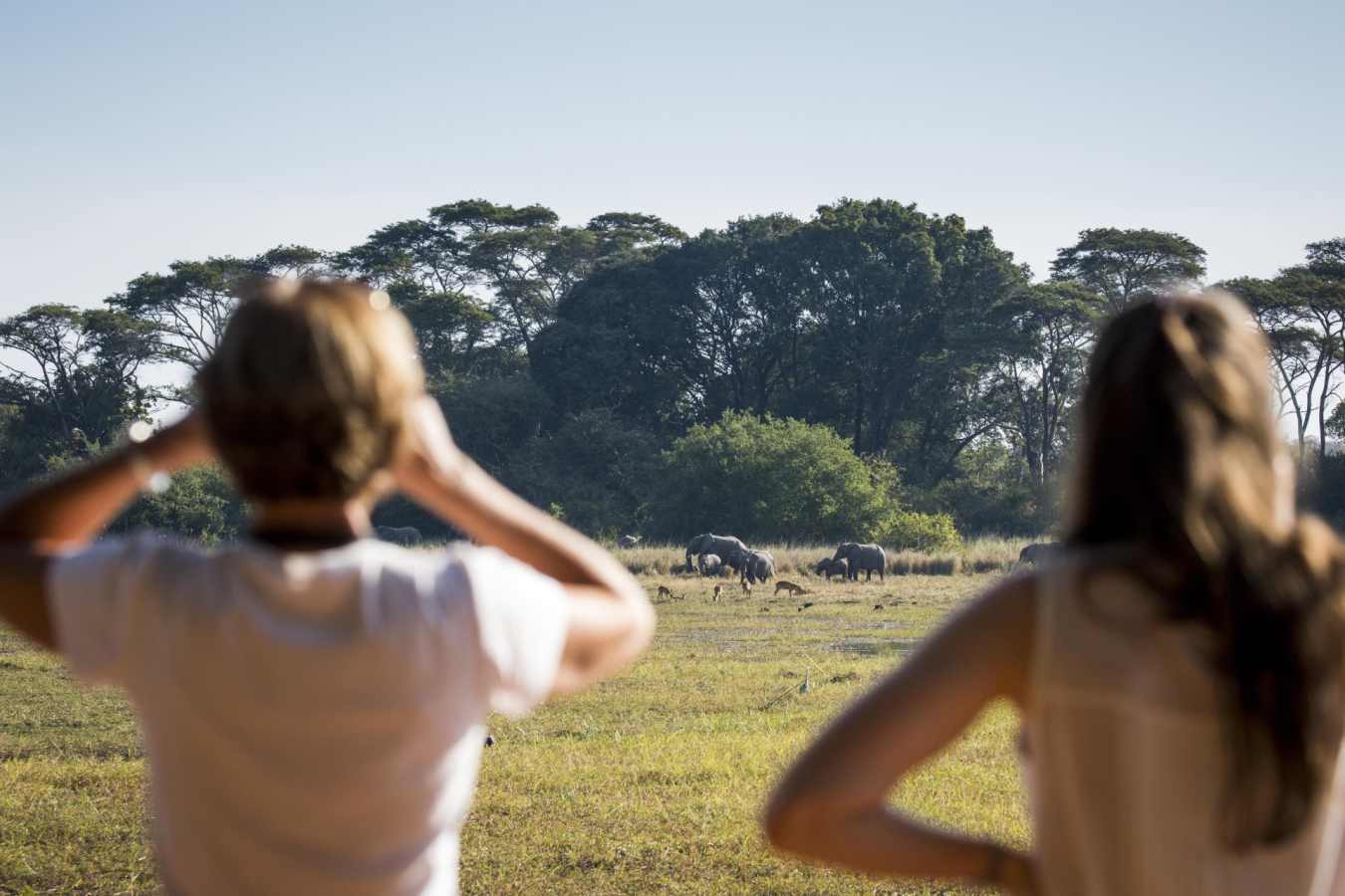 Jeffery and McKeith Safaris