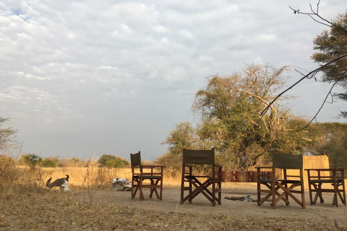 Bush dining - Ntemwa Busanga Camp