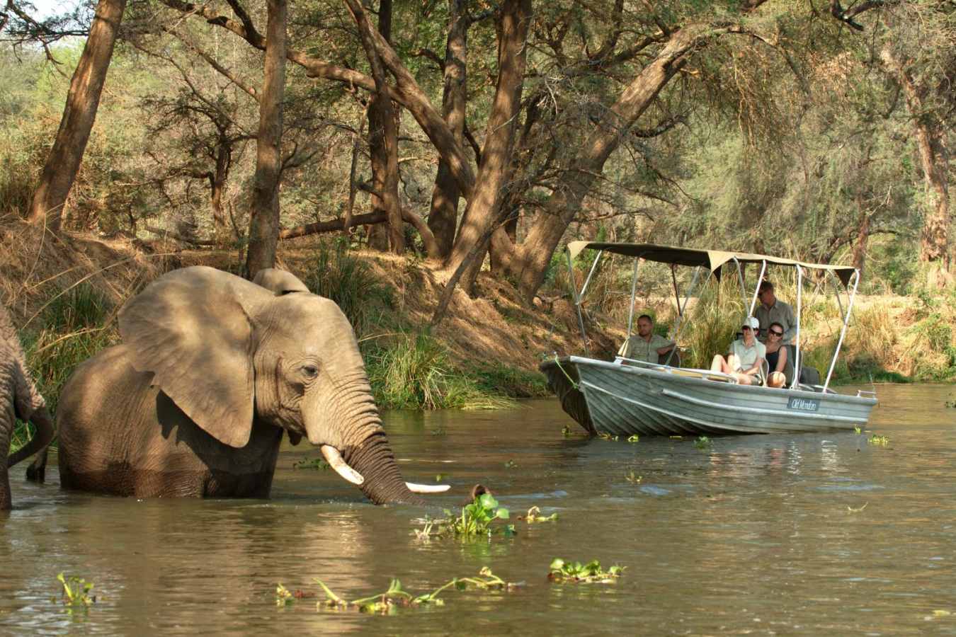Boat Safari - Old Mondoro