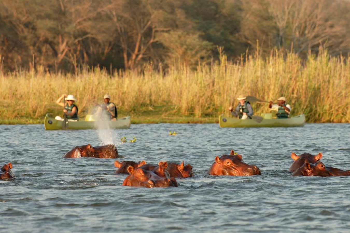 Canoe safari at Old Mondoro