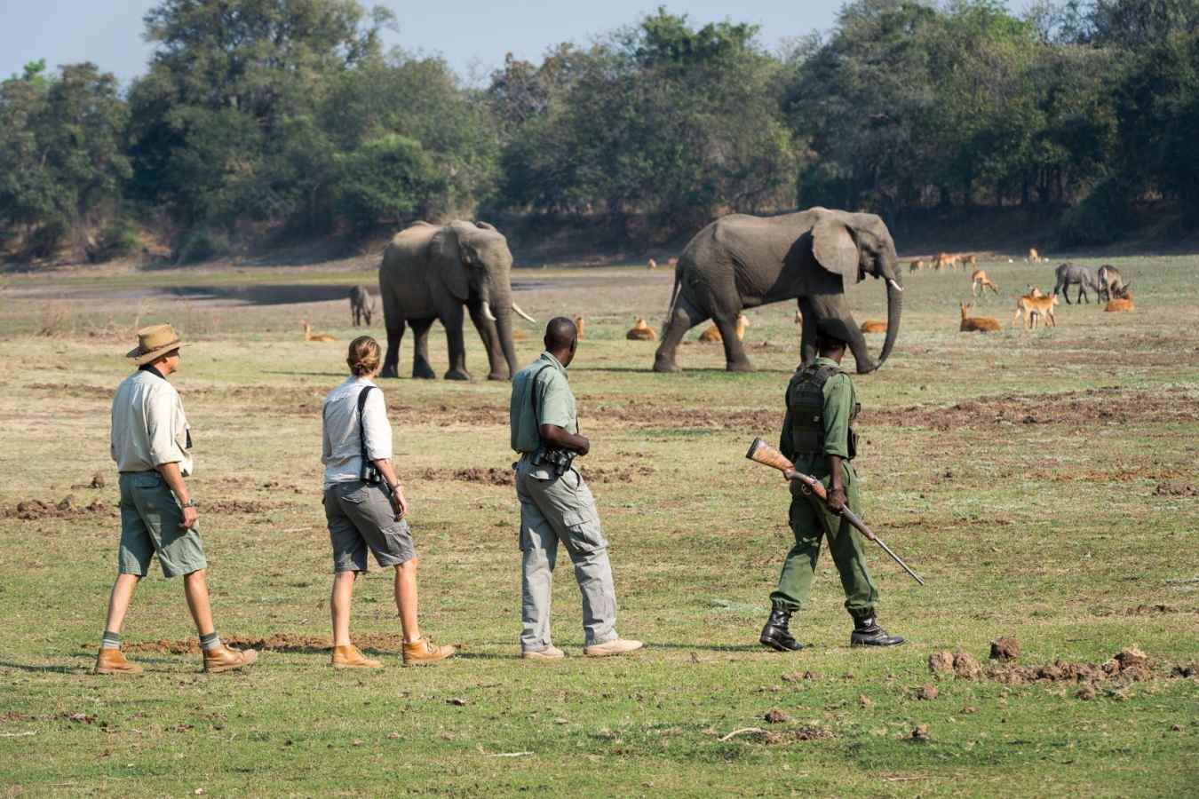 Walking Safari - Robin Pope Luangwa Bush Camping