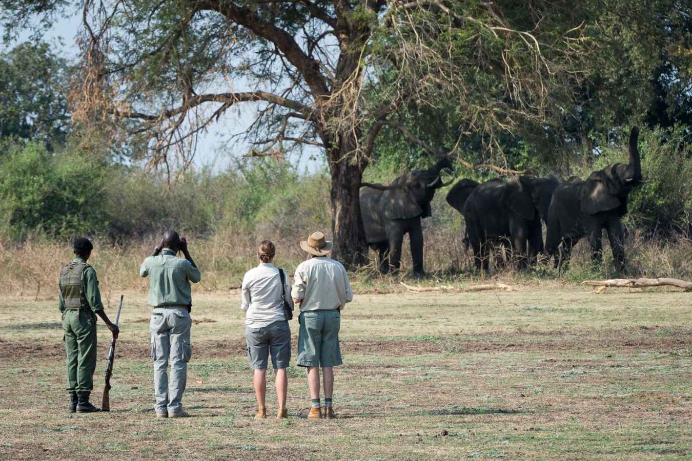 Walking Safari - Robin Pope Luangwa Bush Camping