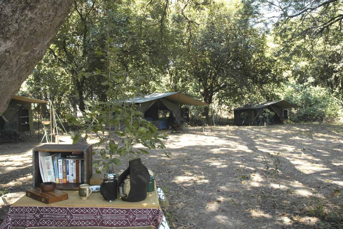 Camp grounds - RPS Mobile Camp