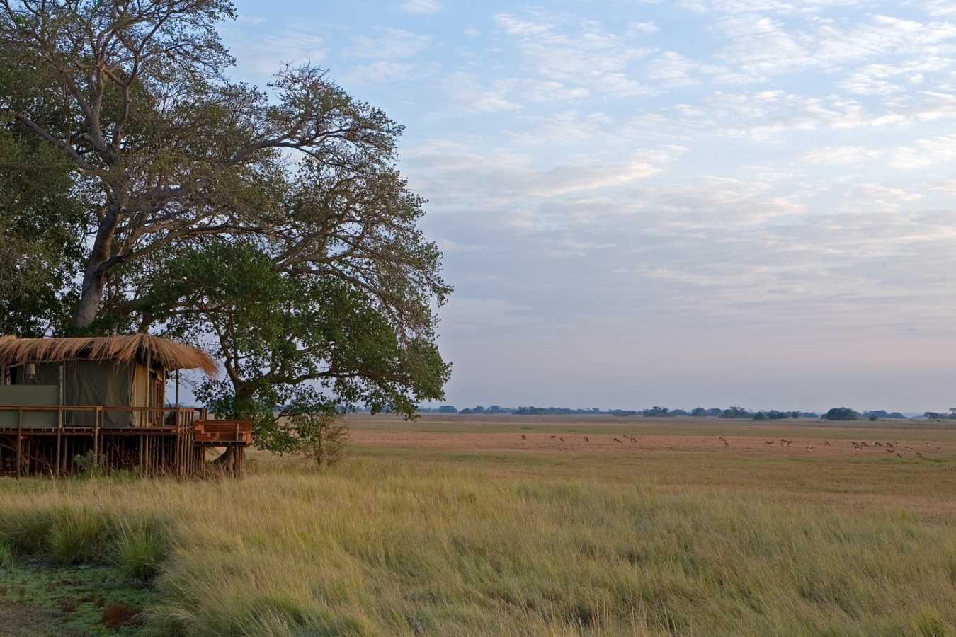 Landscape - Shumba Camp