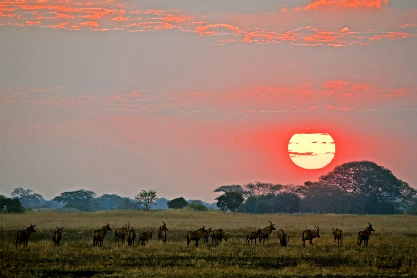 Sunset - Shumba Camp
