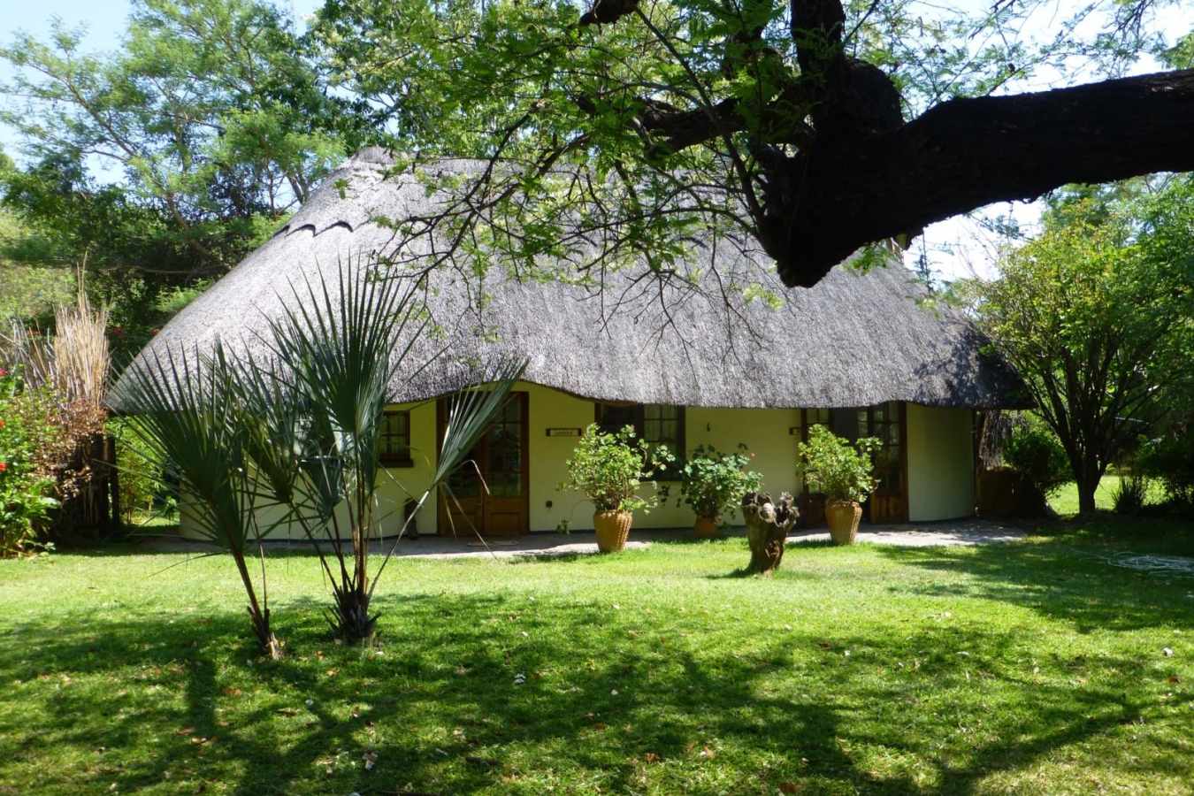Sunbird and Wagtail cottage  - Waterberry Zambezi Lodge