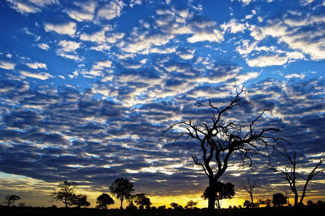 Dawn in Hwange - Bomani Tented Lodge
