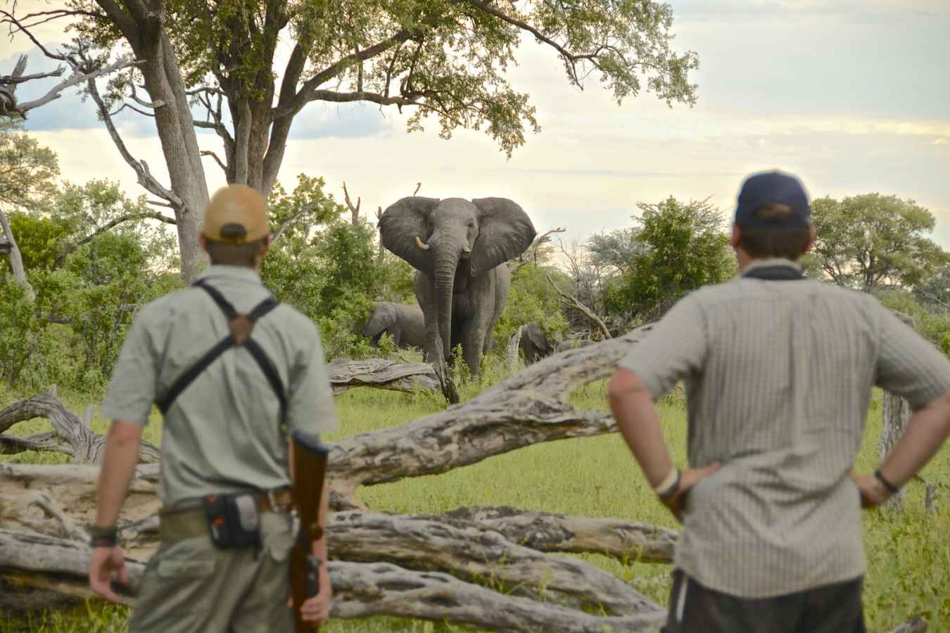 Walking Safari  - Bomani Tented Lodge