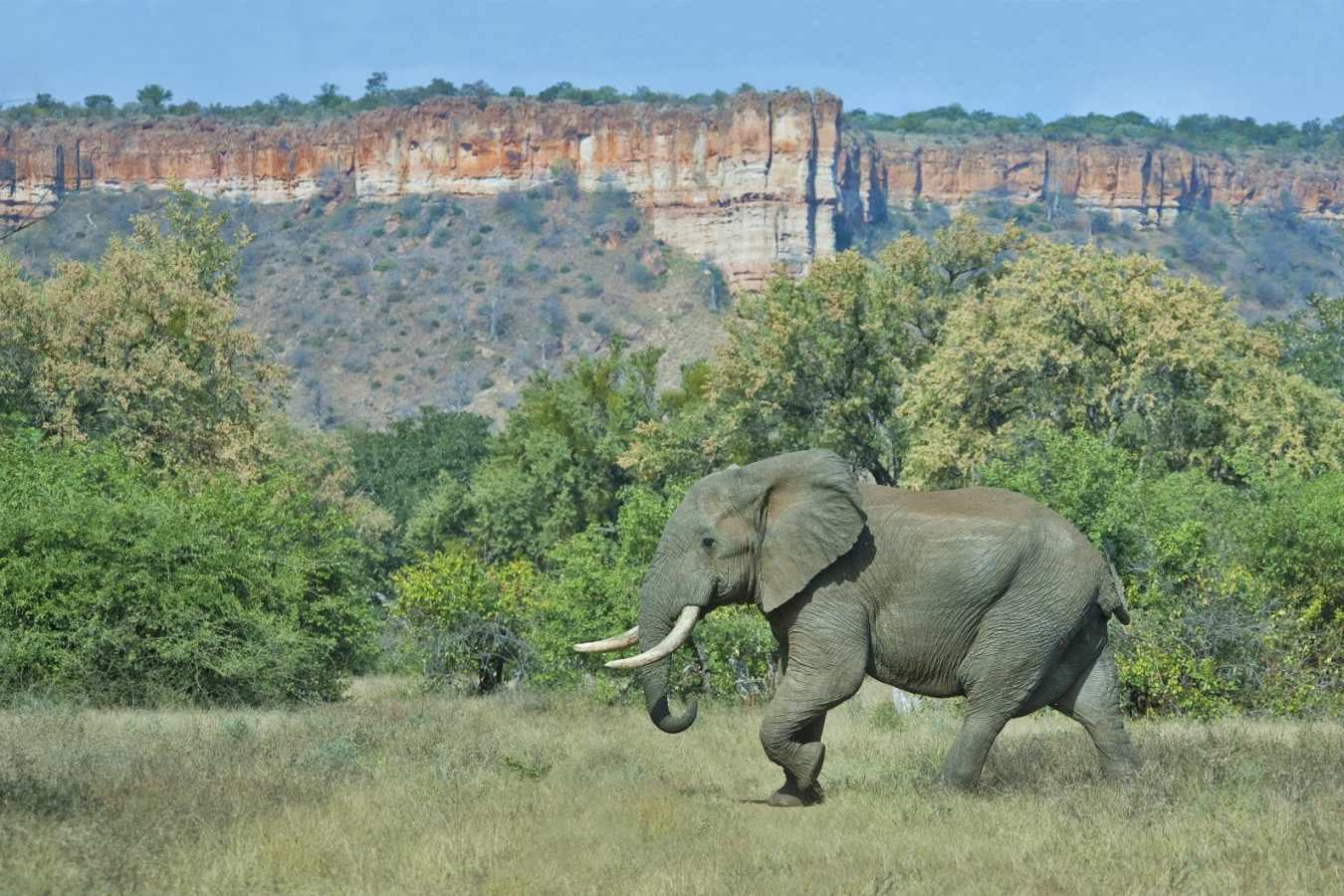 Elephant and Chilojo cliffs - Chilo Gorge Safari Lodge