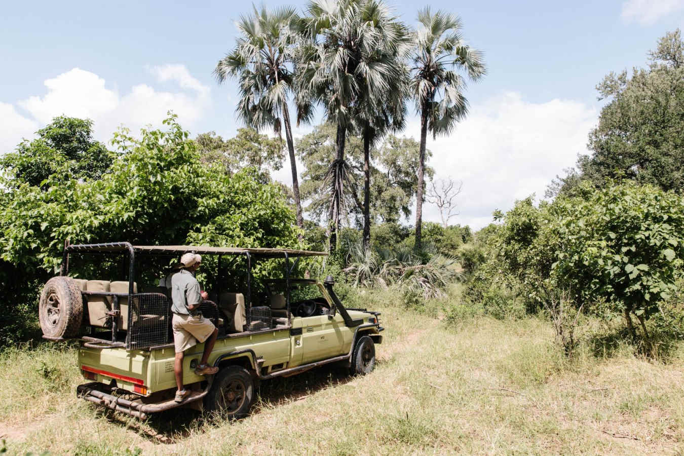 On safari - Chilo Gorge Safari Lodge