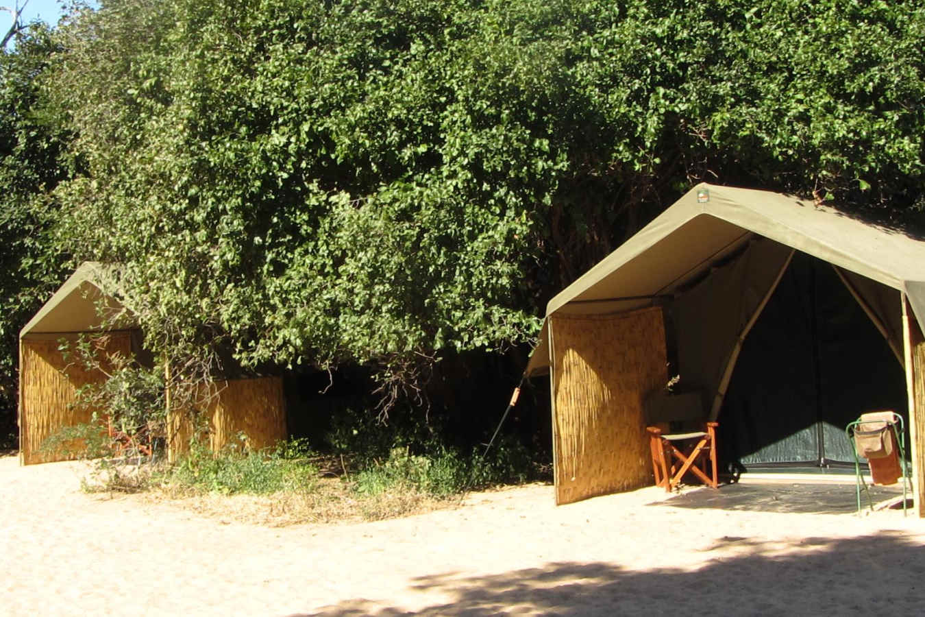 Tent frontage - Goliath Safari Camp