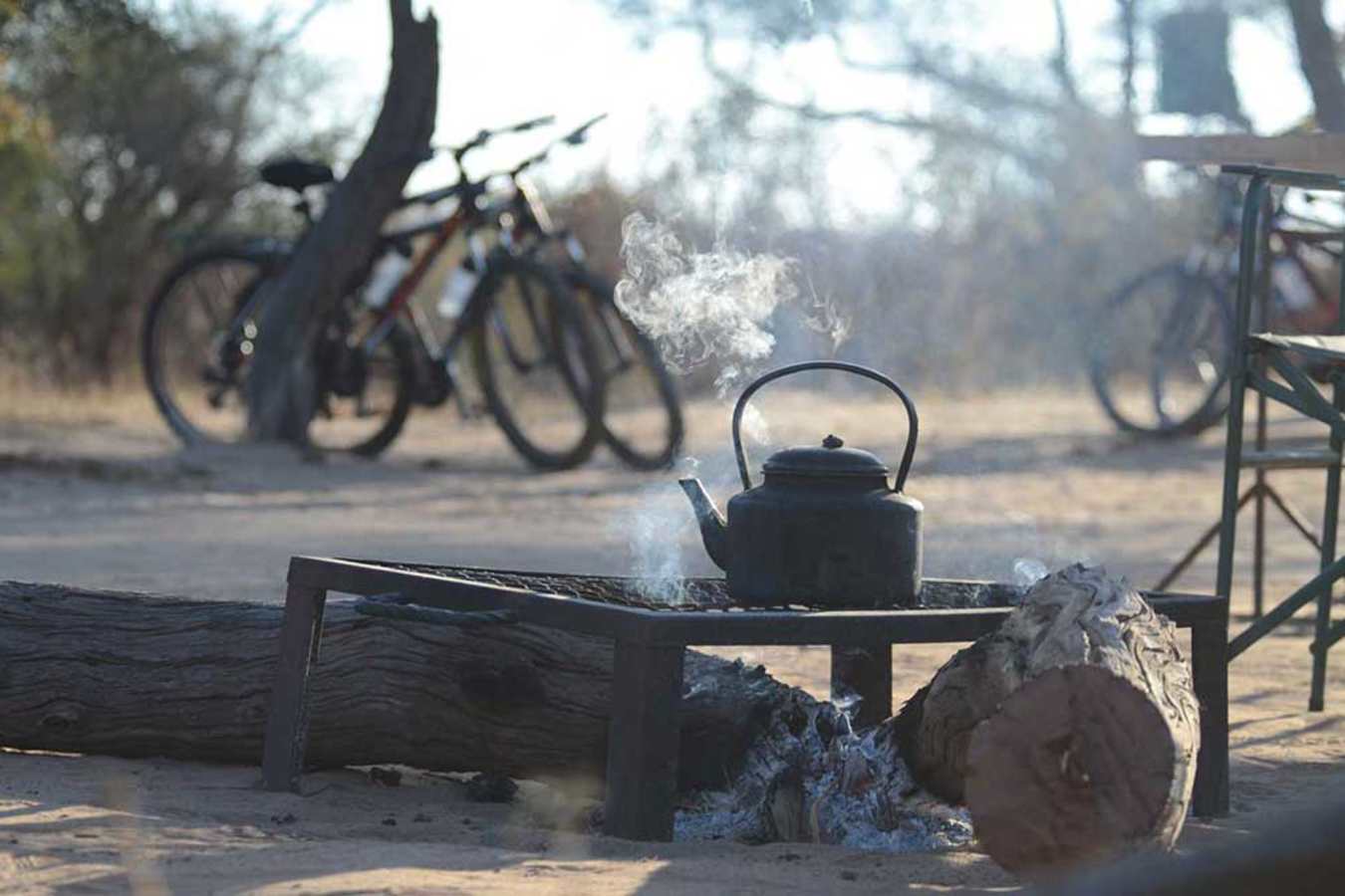 Campfire