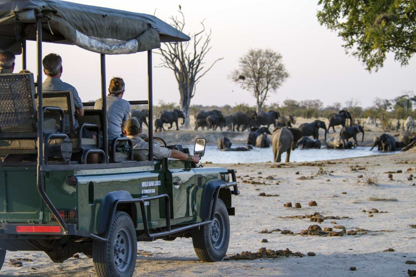 Watching elephants  - Nehimba Lodge