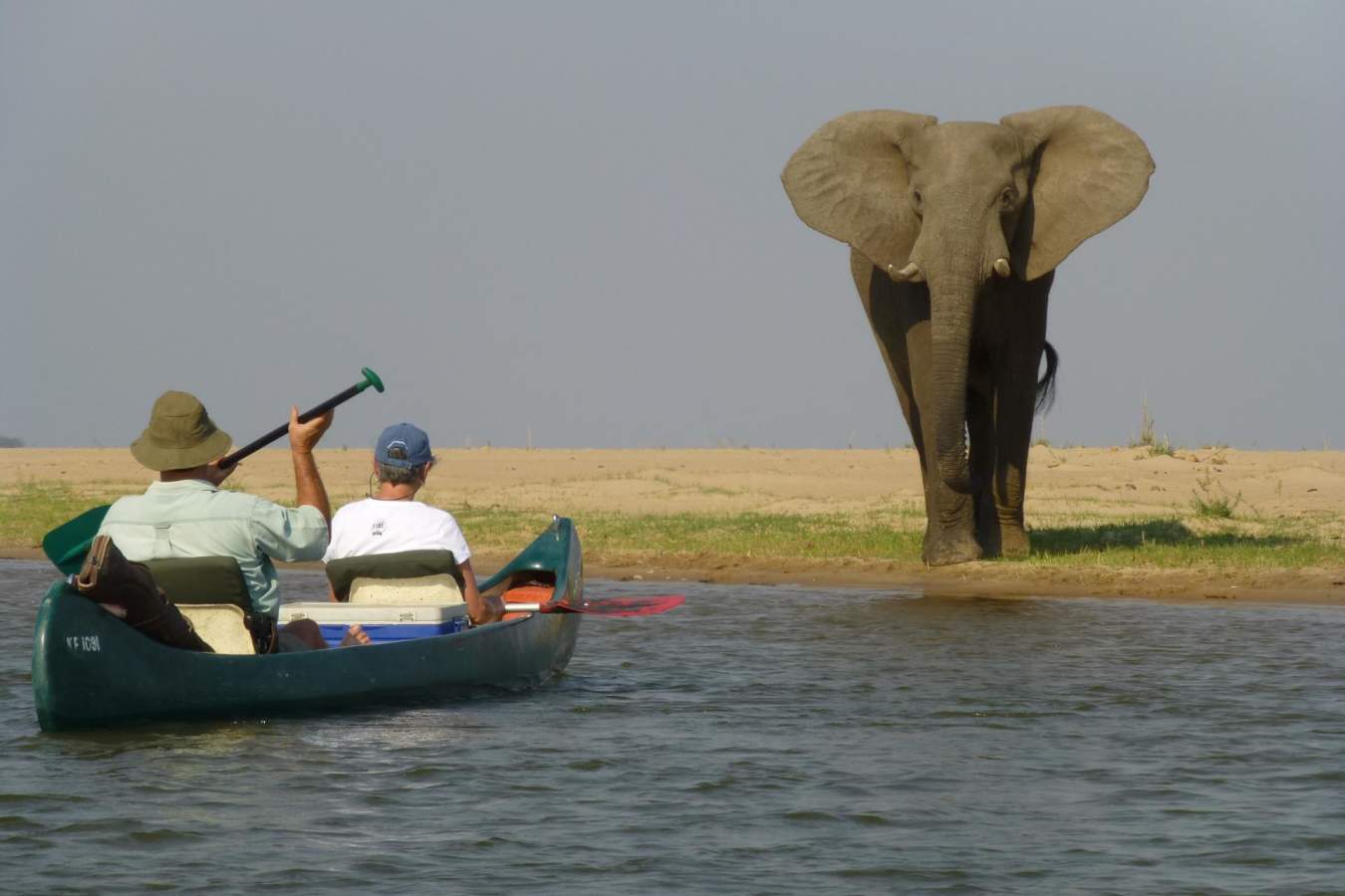 Enjoy close encounters with elephants - Ruwesi Canoe Trail