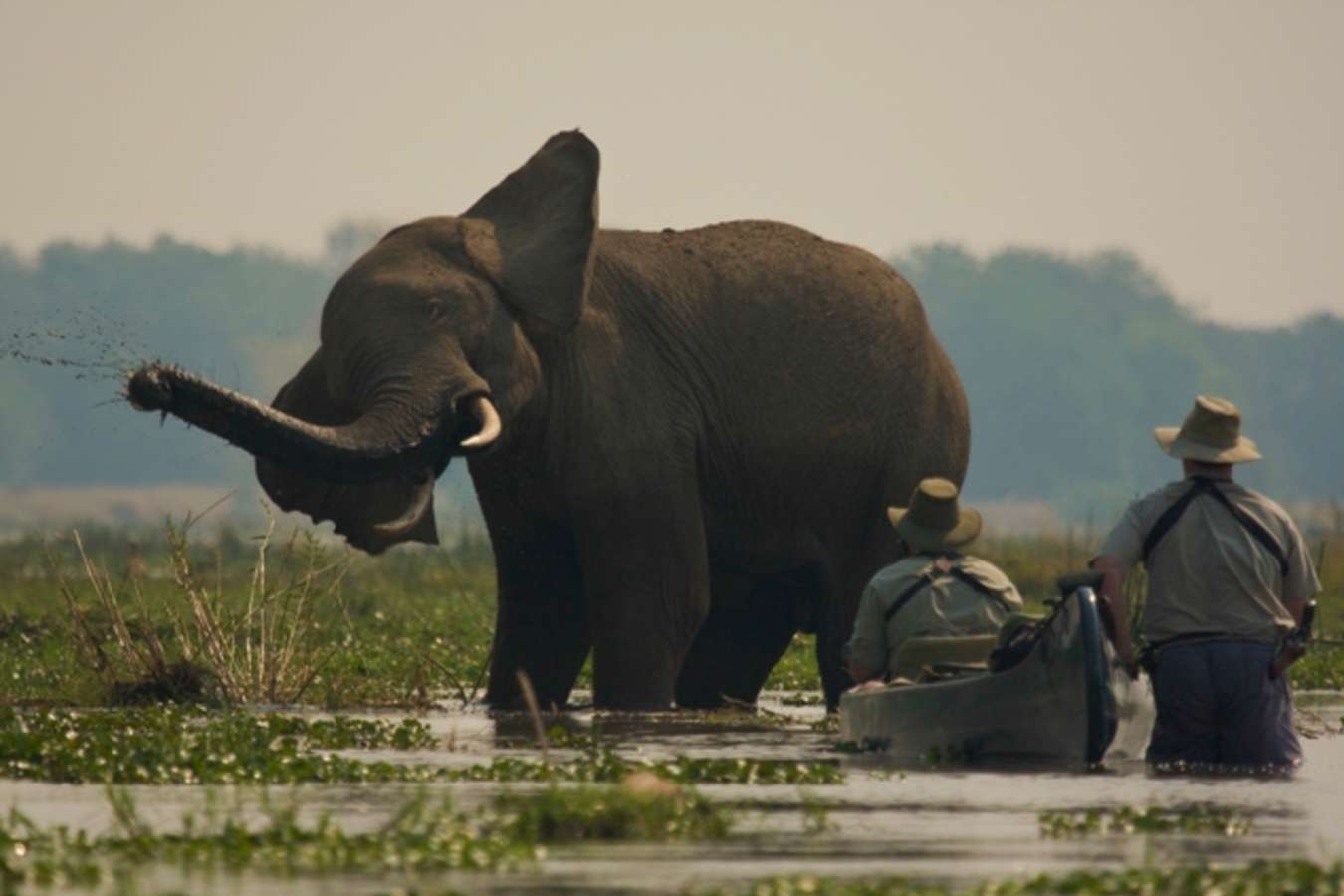 Canoe safari - Vundu Camp