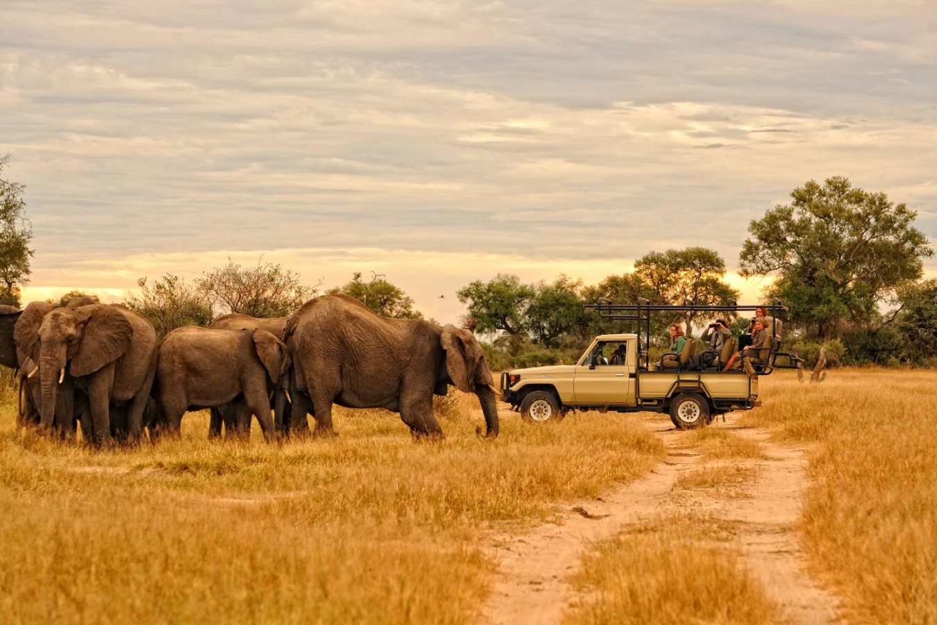 Exploring Mana Pools from Kanga Camp - Zimbabwe in style