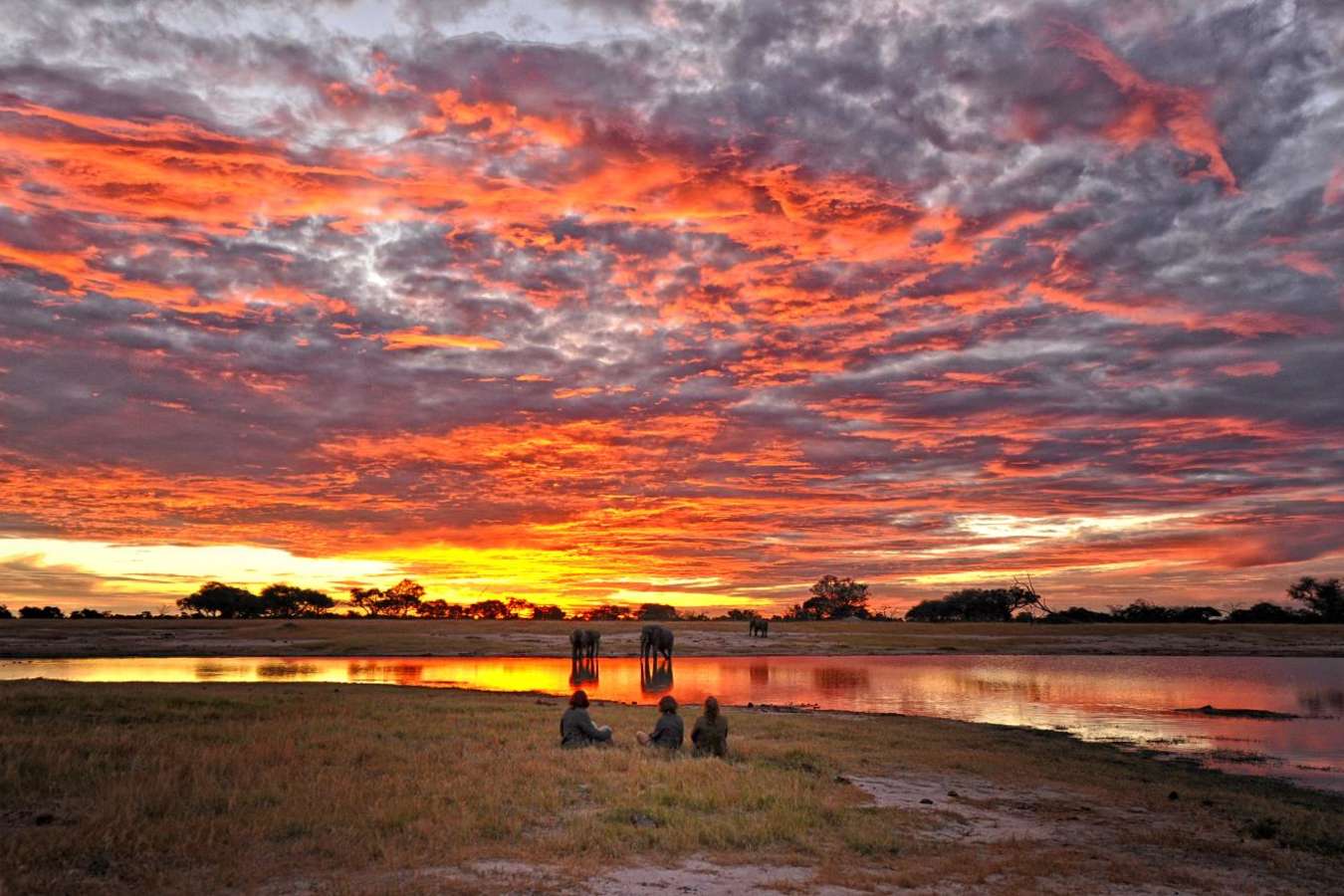Sunset in Hwange - Zimbabwe and Mozambique