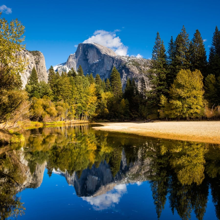 The Redwoods in Yosemite , California A Luxury Holidays | Scott Dunn UK