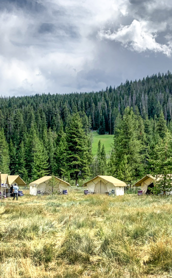 American Safari Camps Yellowstone