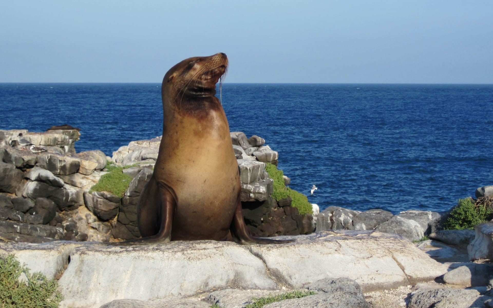 Galapagos Island Hopping 