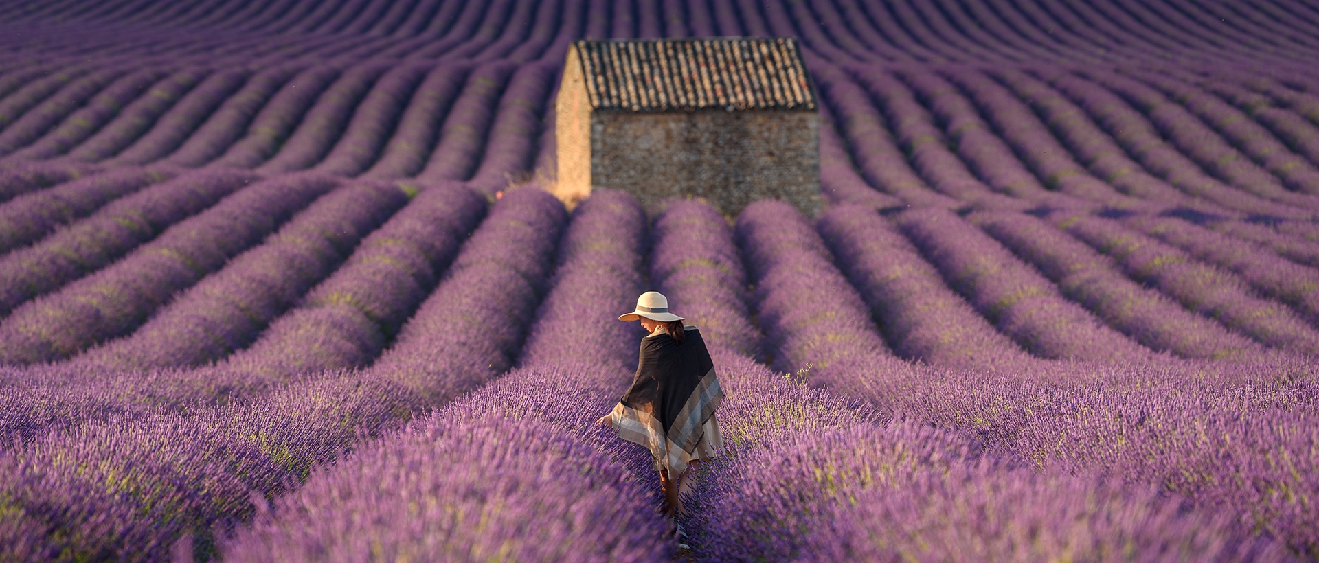 Book Your Luxury Trip to France