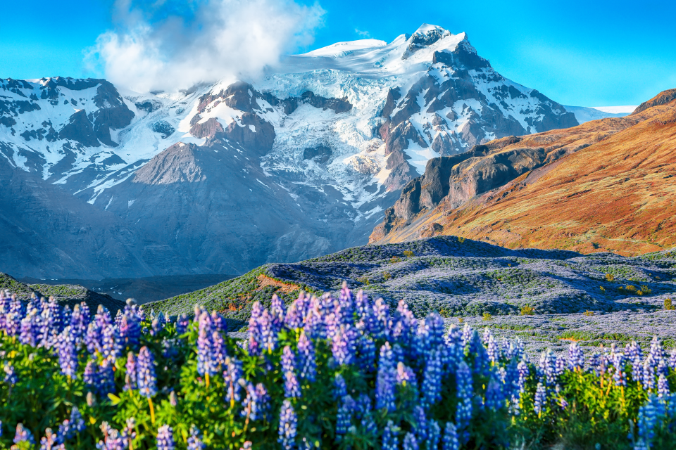 Plan your Iceland trip today
