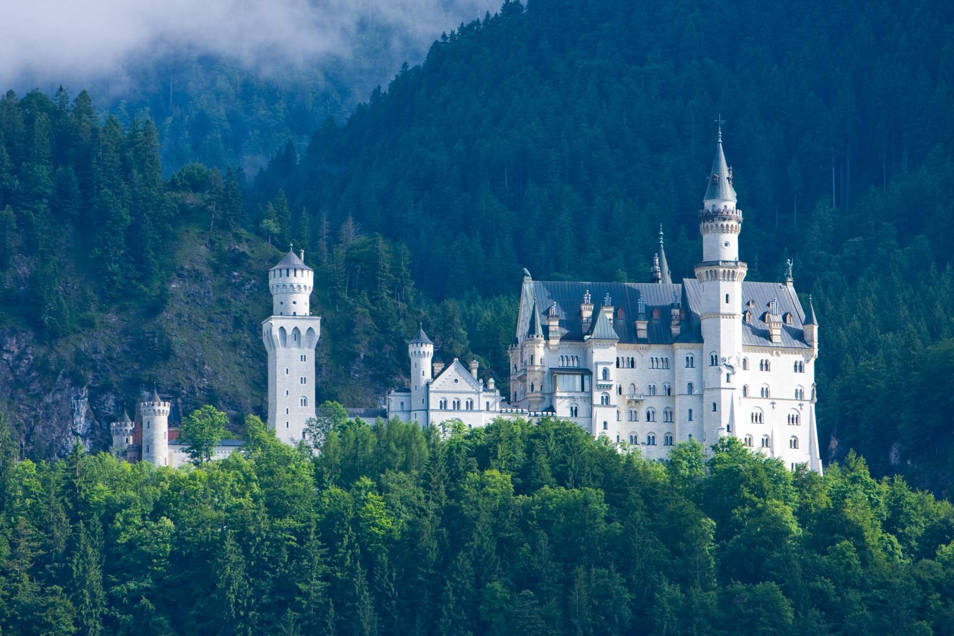 Focus: Castles & Forests in Germany