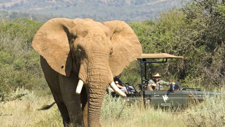 Iconic South Africa